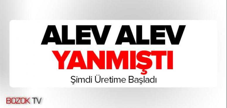 Alev Alev Yanmıştı Şimdi Üretime Başladı