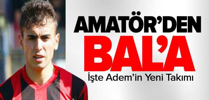 Amatör'den Bal'a