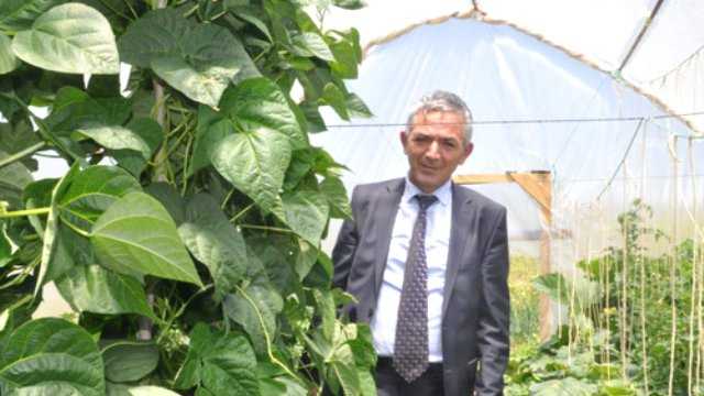 Müdürün Serasından Site Sakinleri de Faydalanıyor