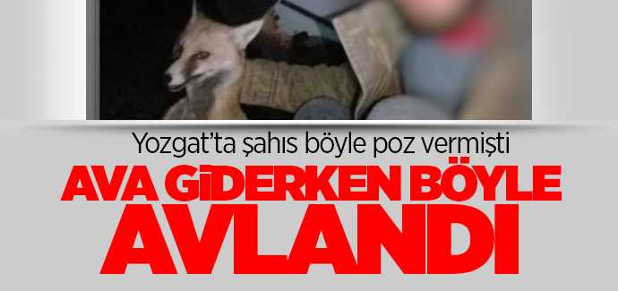 Tilkiyi vurarak poz veren vatandaşı jandarma affetmedi