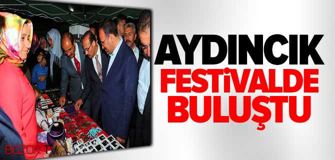 Uluslararası 17'nci Aydıncık Festivali Düzenlendi