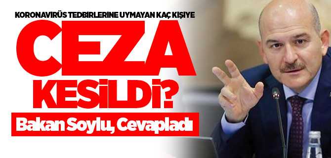 Bakan Soylu, tedbirlere uymayan kaç kişiye ceza kesildiğini açıkladı