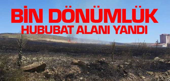 Yozgat'ta Bin Dönümlük Ekili Hububat Alanı Yandı