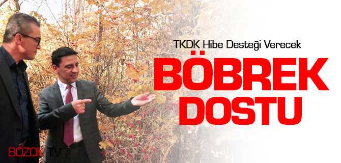 Böbrek Dostu'na TKDK Destek Verecek