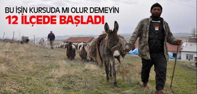 Yozgat'ta 12 İlçede Sürü Yönetimi Eğitim Kursu Açıldı
