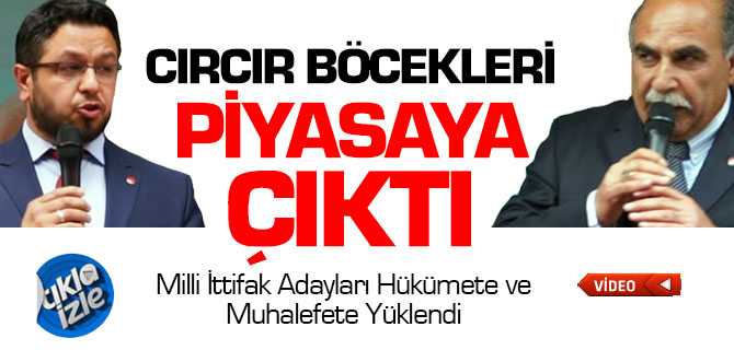 Milli İttifak Adayları İktidar ve Muhalefeti Eleştirdi Cırcır Böcekleri Piyasaya Çıktı