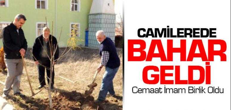 Vatandaşlar Cami Bahçesini Ağaçlandırdı