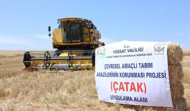 ÇATAK Projesi Kapsamında Yapılan Anız Ekimin Hasadı Yapıldı