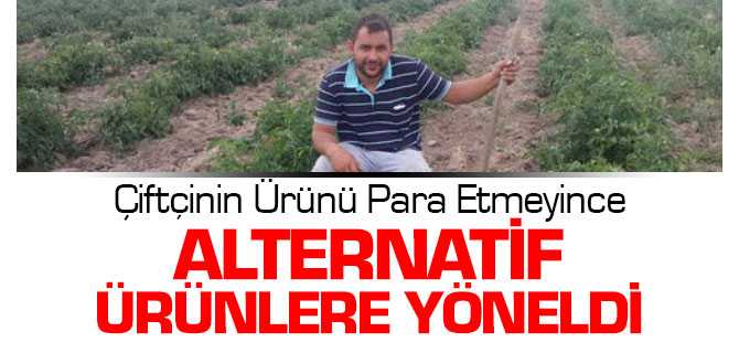 Çiftçinin Ürünü Para Etmeyince Alternatif Ürüne Yöneldi