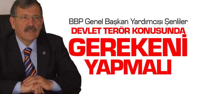 Şenliler, Devlet Terör Konusunda Gerekeni Yapmalı