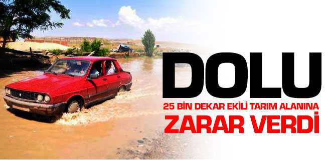 Dolu 25 Bin Dekar Tarım Arazisine Zarar Verdi