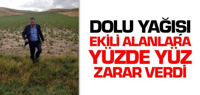 Dolu Yağışı Ekili Tarım Alanlarına Yüzde 100 Oranında Zarar Verdi