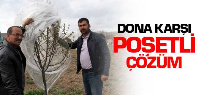 Yozgat'ta Çiftçilerden Dona Karşı Poşetli Çözüm