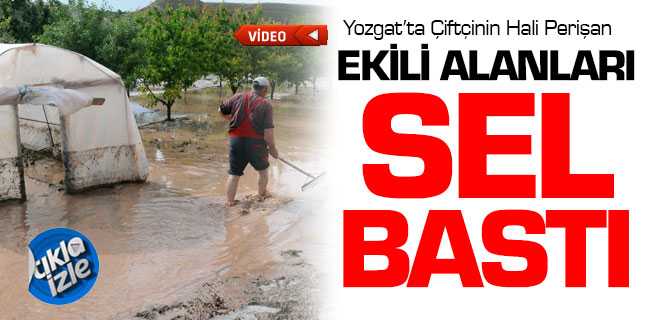 Yağmur ve Dolu Sonrası Tarım Alanlarını Sel Bastı