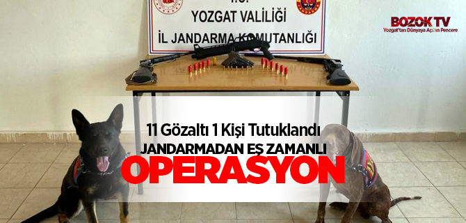 Jandarmadan Eş Zamanlı Operasyon