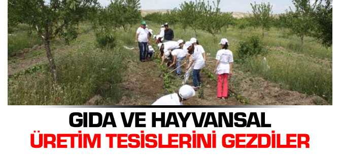 İlkokul Öğrencileri Gıda ve Tarım Üretim Tesislerini Gezdi