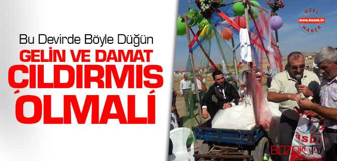 Gelin ve Damat Çıldırmış Olmalı