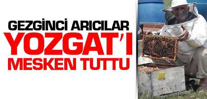 Gezginci Arıcılar Yozgat'ı Mesken Tuttu