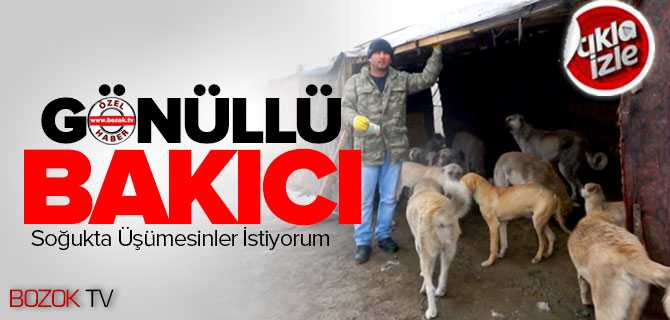 Gönüllü Bakıcı