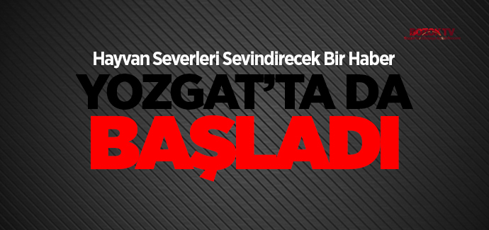 Yozgat'ta da kedi ve köpeklere çip takma ve pasaport verme işlemleri başladı