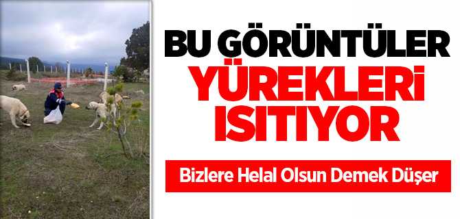 Yozgat'ta Polis ve Jandarma hayvanları unutmadı