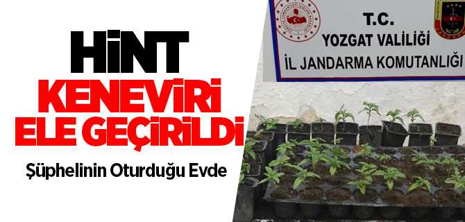 Jandarma 72 Kök Hint keneviri ele geçirdi