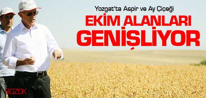 Aspir Ve Ayçiçeği Ekim Alanları Genişletiliyor