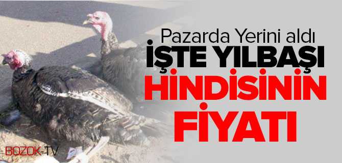Yılbaşı Hindisi Pazara İndi