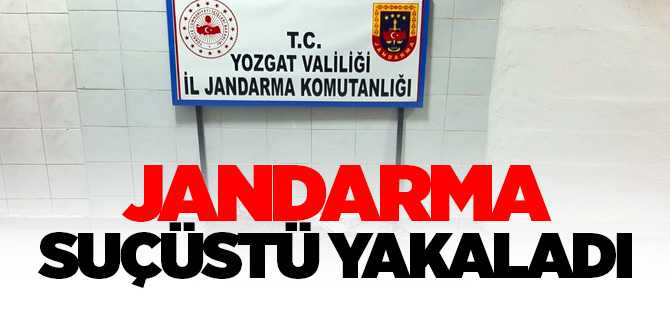 Jandarma ekipleri 2 kişiyi çaldıkları kabloları yakarken suçüstü yakaladı