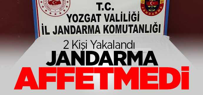 Jandarma zehir tacirlerine göz açtırmıyor