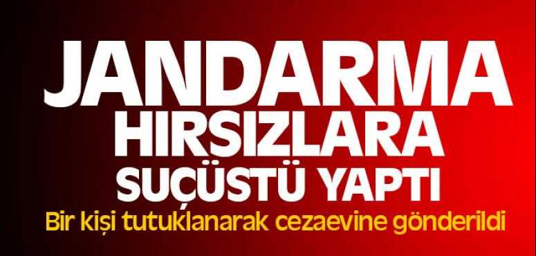 Jandarma Hırsızlara Suçüstü Yaptı