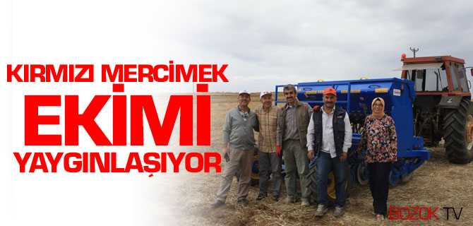 Kırmızı Mercimek Ekimi Yaygınlaşıyor