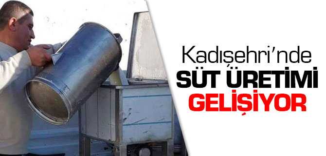 Kadışehri'nde Süt Üretimi Gelişiyor