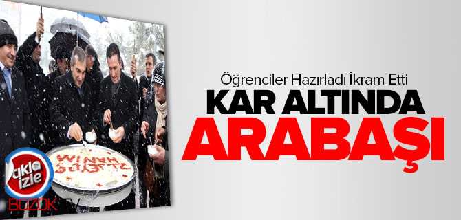 Kar Altında Arabaşı