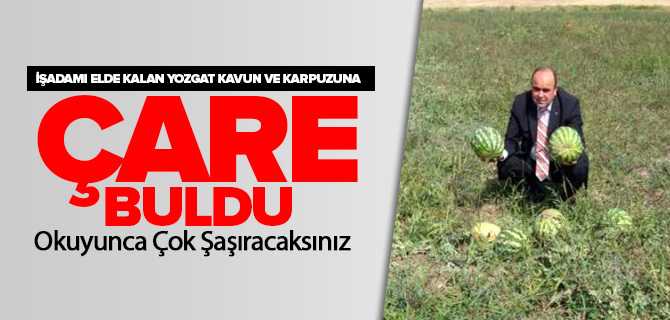 İşadamı Çelik, Yozgat'ın Kavun ve Karpuzu İçin Çalışma Başlattı