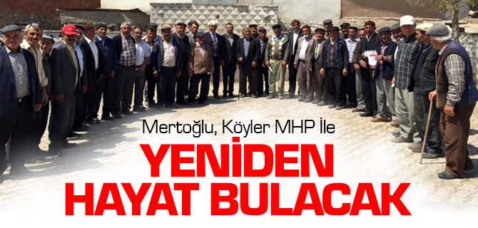 Mertoğlu, Köyler MHP ile Yeniden Hayat Bulacak