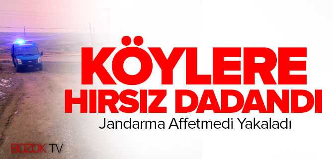 Köylere Hırsız Dadandı