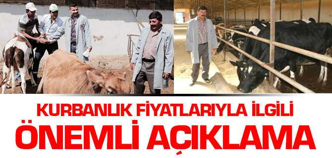 Kurbanlık Hayvan Fiyatlari Et Kesim Fiyatlari ile Cardio Oranda Seyreder