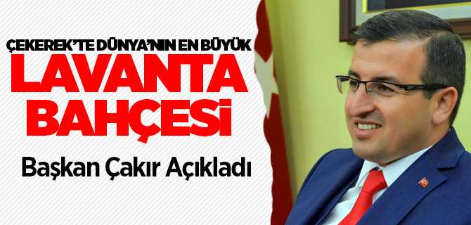 Dünya'nın en büyük Lavanta bahçesi
