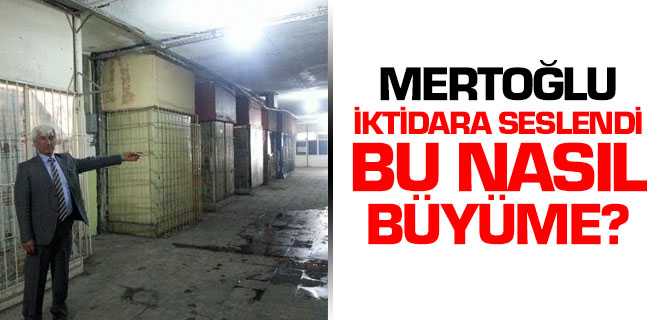 Mertoğlu, Bu Nasıl Büyüme