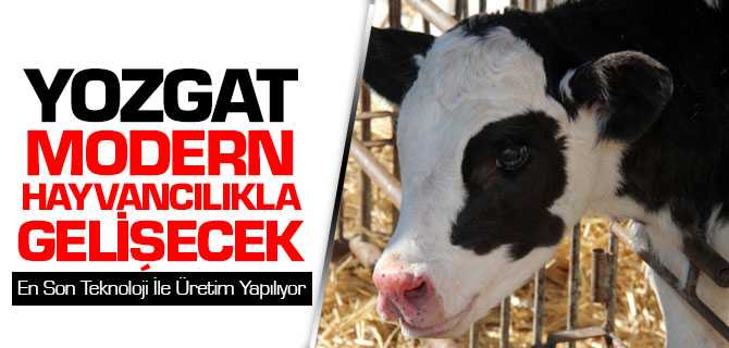 Yozgat Modern Hayvancılıkla Gerlişecek
