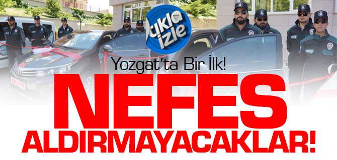 Narkotim Göreve Başladı