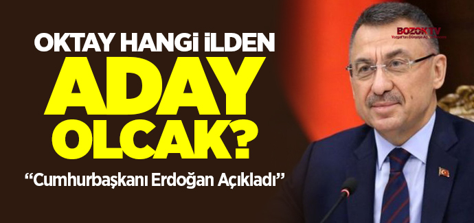 Cumhurbaşkanı Yardımcısı Fuat Oktay hangi ilden aday olacak?