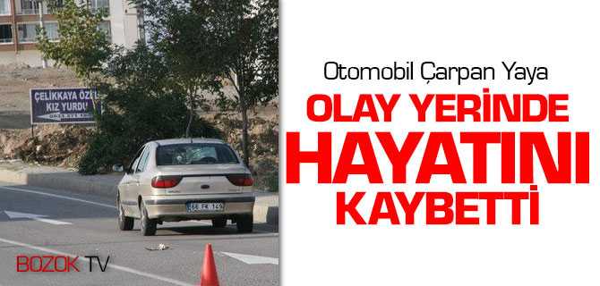Otomobilin Çarptığı Yaya Olay Yerinde Hayatını Kaybetti