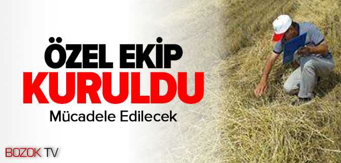 Dene Kaybına Özel Ekip Kuruldu