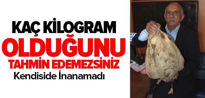 Tam 17 Kilogram Ağırlığında