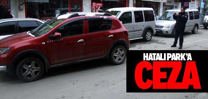Hatalı Park'a Ceza