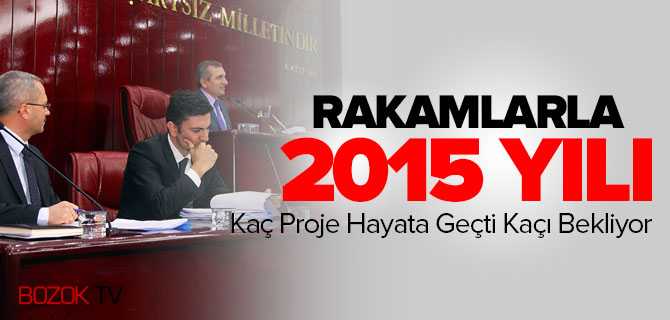 Rakamlarla 2015 Yılı