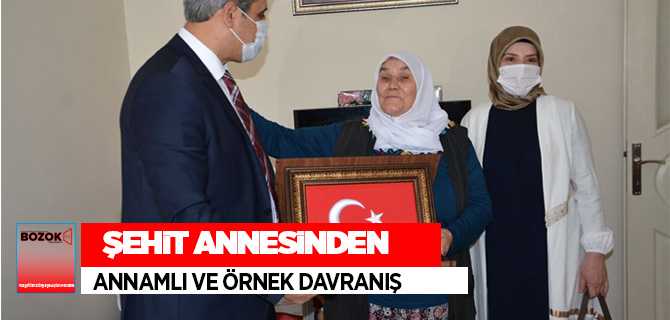 Şehit Annesinden Milli Dayanışma Kampanyasına 2 Bin TL destek
