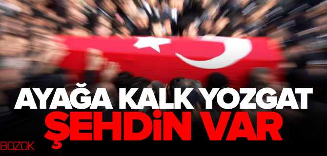 Emniyet Amiri Zafer Kurt Şehit Düştü